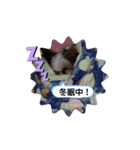 我が家のもじゃ 3（個別スタンプ：9）