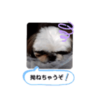 我が家のもじゃ 3（個別スタンプ：12）