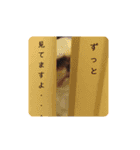 我が家のもじゃ 3（個別スタンプ：15）
