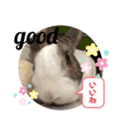 お茶目なkokkochan(2)（個別スタンプ：1）