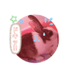 お茶目なkokkochan(2)（個別スタンプ：8）