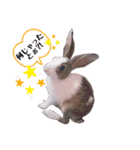 お茶目なkokkochan(2)（個別スタンプ：9）