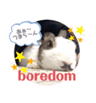 お茶目なkokkochan(2)（個別スタンプ：11）
