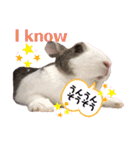 お茶目なkokkochan(2)（個別スタンプ：13）