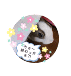 お茶目なkokkochan(2)（個別スタンプ：18）