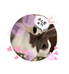 お茶目なkokkochan(2)（個別スタンプ：19）