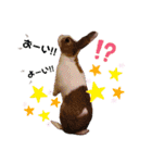お茶目なkokkochan(2)（個別スタンプ：21）