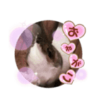 お茶目なkokkochan(2)（個別スタンプ：22）