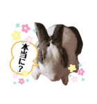 お茶目なkokkochan(2)（個別スタンプ：25）