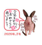 お茶目なkokkochan(2)（個別スタンプ：26）