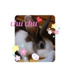 お茶目なkokkochan(2)（個別スタンプ：29）