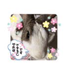 お茶目なkokkochan(2)（個別スタンプ：32）