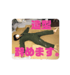 はきだめ造型スタンプ（個別スタンプ：21）