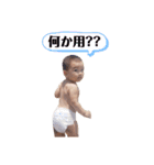 ひなごんだよ。2（個別スタンプ：12）