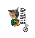 船長と船長猫のスタンプ（個別スタンプ：12）