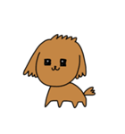 様々な茶色いトイプードル（個別スタンプ：3）