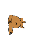 様々な茶色いトイプードル（個別スタンプ：4）