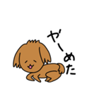 様々な茶色いトイプードル（個別スタンプ：11）