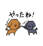 様々な茶色いトイプードル（個別スタンプ：14）