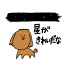 様々な茶色いトイプードル（個別スタンプ：24）