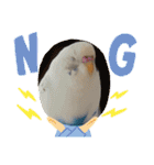 インコのフクちゃん2（個別スタンプ：6）