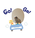 インコのフクちゃん2（個別スタンプ：13）