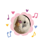 インコのフクちゃん2（個別スタンプ：14）