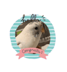 インコのフクちゃん2（個別スタンプ：18）