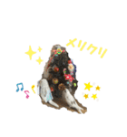 インコのフクちゃん2（個別スタンプ：22）