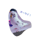 インコのフクちゃん2（個別スタンプ：24）