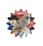 インコのフクちゃん2（個別スタンプ：32）