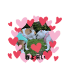 ブルドッグのソース子＆まる子の可愛い姉妹2（個別スタンプ：24）