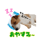 ♡おしゃまな琳ちゃん♡Part1（個別スタンプ：3）