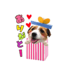 ♡おしゃまな琳ちゃん♡Part1（個別スタンプ：9）