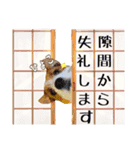 ♡おしゃまな琳ちゃん♡Part1（個別スタンプ：13）