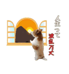 ♡おしゃまな琳ちゃん♡Part1（個別スタンプ：15）