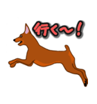 ミニピンレッド（個別スタンプ：7）