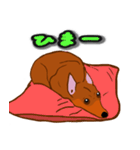 ミニピンレッド（個別スタンプ：8）