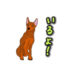 ミニピンレッド（個別スタンプ：11）