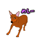 ミニピンレッド（個別スタンプ：13）