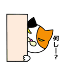 奄美ののねこ（個別スタンプ：6）