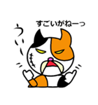 奄美ののねこ（個別スタンプ：15）