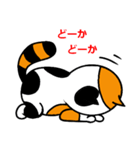 奄美ののねこ（個別スタンプ：16）