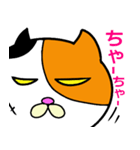 奄美ののねこ（個別スタンプ：18）