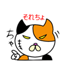 奄美ののねこ（個別スタンプ：19）