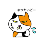 奄美ののねこ（個別スタンプ：27）