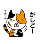 奄美ののねこ（個別スタンプ：29）