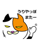 奄美ののねこ（個別スタンプ：30）