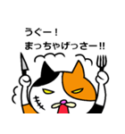 奄美ののねこ（個別スタンプ：31）