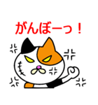 奄美ののねこ（個別スタンプ：32）